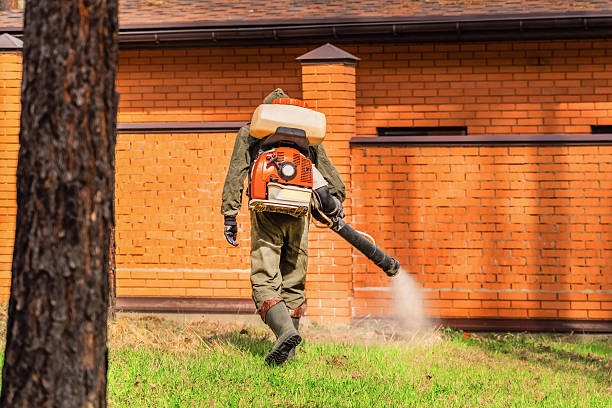 Trusted Termite Control service in Salmon Creek, WA - Nex Pest Control